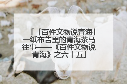 「百件文物说青海」一纸布告里的青海茶马往事——《百件文物说青海》之六十五