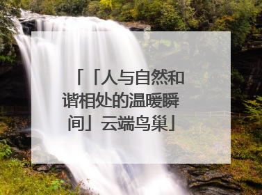 「人与自然和谐相处的温暖瞬间」云端鸟巢