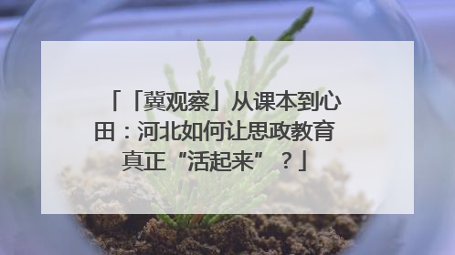 「冀观察」从课本到心田：河北如何让思政教育真正“活起来”？