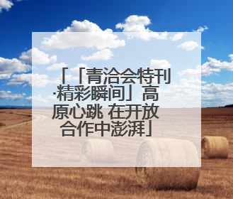 「青洽会特刊·精彩瞬间」高原心跳 在开放合作中澎湃