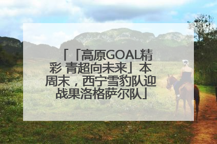 「高原GOAL精彩 青超向未来」本周末，西宁雪豹队迎战果洛格萨尔队