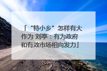 “特小乡”怎样有大作为 刘亭：有为政府和有效市场相向发力