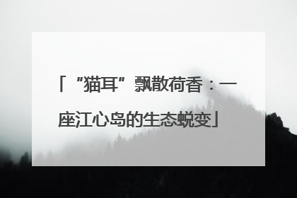“猫耳”飘散荷香：一座江心岛的生态蜕变