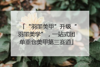 “羽墨美甲”升级“羽墨美学”，一站式团单重仓美甲第三赛道