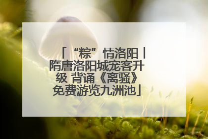 “粽”情洛阳丨隋唐洛阳城宠客升级 背诵《离骚》免费游览九洲池