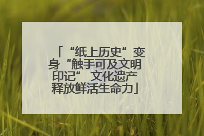 “纸上历史”变身“触手可及文明印记” 文化遗产释放鲜活生命力