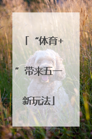 “体育+”带来五一新玩法