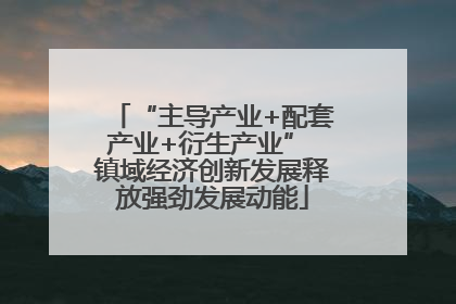 “主导产业+配套产业+衍生产业” 镇域经济创新发展释放强劲发展动能