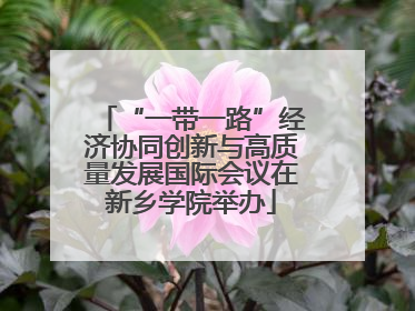 “一带一路”经济协同创新与高质量发展国际会议在新乡学院举办