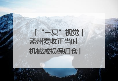 “三夏”视觉｜孟州麦收正当时 机械减损保归仓