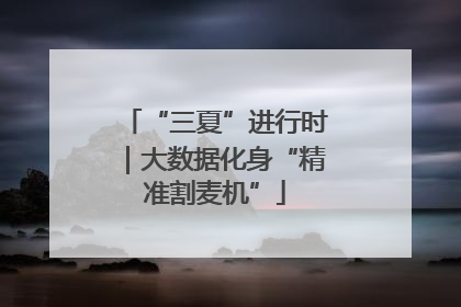 “三夏”进行时｜大数据化身“精准割麦机”