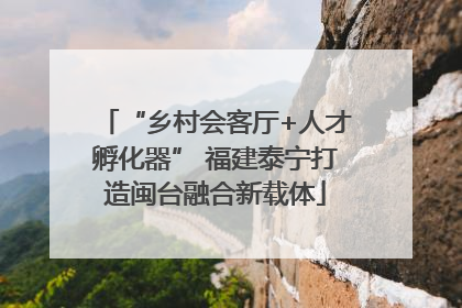 “乡村会客厅+人才孵化器” 福建泰宁打造闽台融合新载体