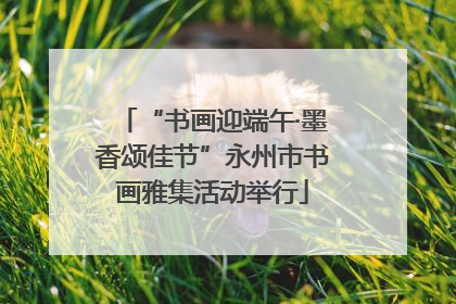 “书画迎端午·墨香颂佳节”永州市书画雅集活动举行