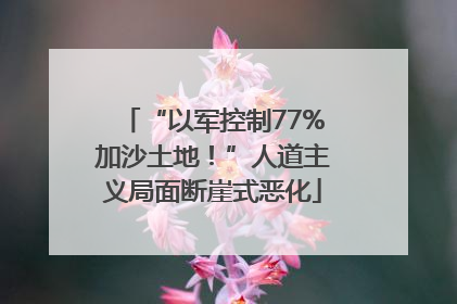 “以军控制77%加沙土地！”人道主义局面断崖式恶化