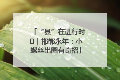 “县”在进行时⑬｜邯郸永年：小螺丝出圈有奇招