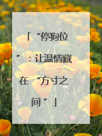 “停狗位 ”：让温情藏在 “方寸之间 ”