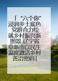 “六个你”浸润乡土底色 党群合力绘就乡村振兴新图景 辽宁省阜新市以民生温度激活乡村善治密码