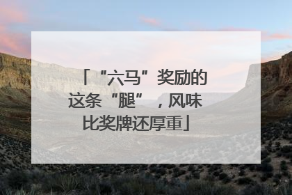 “六马”奖励的这条“腿”，风味比奖牌还厚重