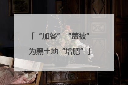 “加餐”“盖被” 为黑土地“增肥”