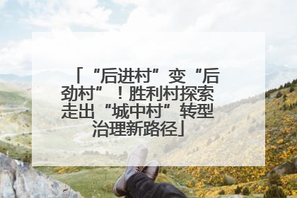 “后进村”变“后劲村”！胜利村探索走出“城中村”转型治理新路径