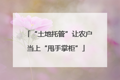 “土地托管”让农户当上“甩手掌柜”