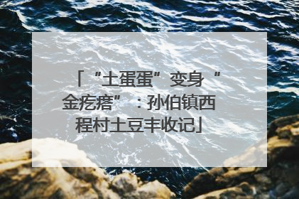 “土蛋蛋”变身“金疙瘩”：孙伯镇西程村土豆丰收记