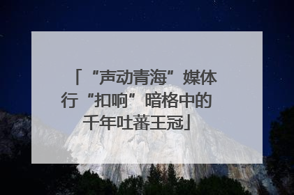 “声动青海”媒体行“扣响”暗格中的千年吐蕃王冠