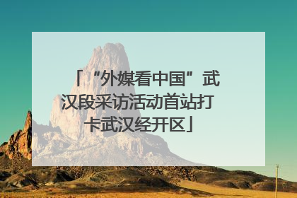 “外媒看中国”武汉段采访活动首站打卡武汉经开区