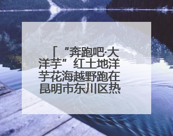 “奔跑吧·大洋芋”红土地洋芋花海越野跑在昆明市东川区热力开跑