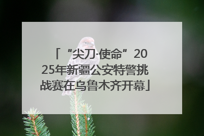 “尖刀·使命”2025年新疆公安特警挑战赛在乌鲁木齐开幕