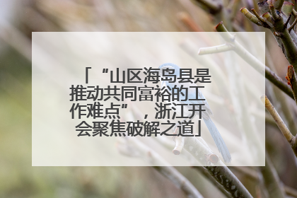 “山区海岛县是推动共同富裕的工作难点”，浙江开会聚焦破解之道
