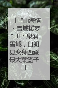 “山海情・雪域援梦”⑪：泉润雪域，白朗县变身西藏最大菜篮子