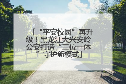 “平安校园”再升级！黑龙江大兴安岭公安打造“三位一体”守护新模式