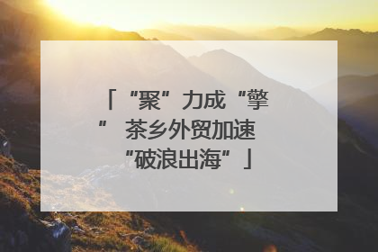 “聚”力成“擎” 茶乡外贸加速“破浪出海”