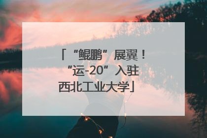 “鲲鹏”展翼！“运-20”入驻西北工业大学