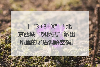 “3+3+X”！北京西城“枫桥式”派出所里的矛盾调解密码