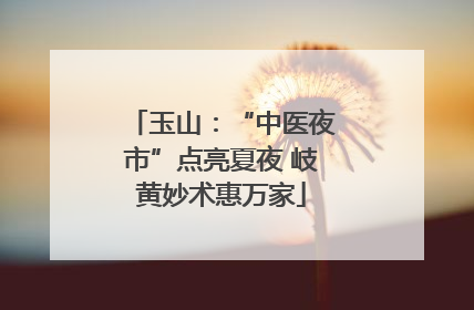 玉山：“中医夜市”点亮夏夜 岐黄妙术惠万家
