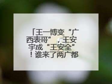 王一博变“广西表哥”，王安宇成“王安全”！谁来了两广都得“腌入味”