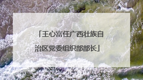 王心富任广西壮族自治区党委组织部部长