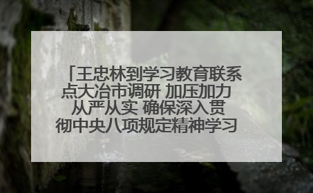 王忠林到学习教育联系点大冶市调研 加压加力 从严从实 确保深入贯彻中央八项规定精神学习教育取得实效