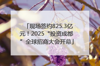 现场签约825.3亿元！2025“投资成都”全球招商大会开幕