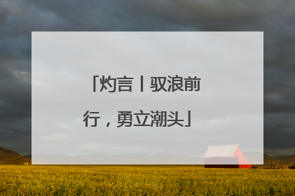 灼言丨驭浪前行，勇立潮头