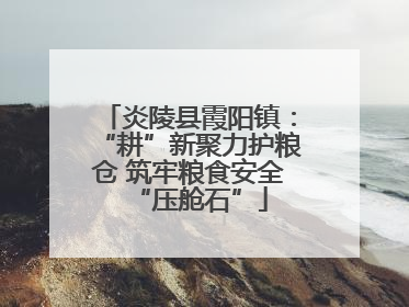 炎陵县霞阳镇：“耕”新聚力护粮仓 筑牢粮食安全“压舱石”