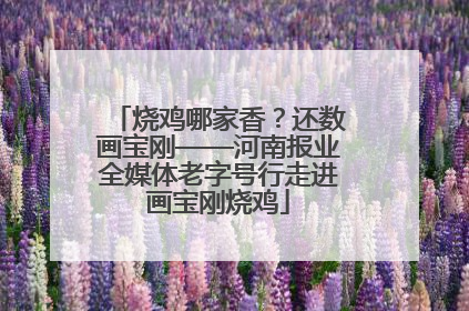 烧鸡哪家香？还数画宝刚——河南报业全媒体老字号行走进画宝刚烧鸡