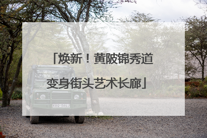 焕新！黄陂锦秀道变身街头艺术长廊