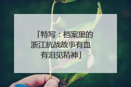 特写：档案里的浙江抗战故事有血有泪见精神