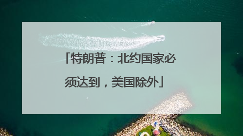 特朗普：北约国家必须达到，美国除外
