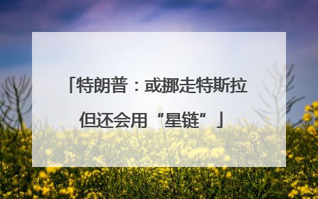 特朗普：或挪走特斯拉 但还会用“星链”