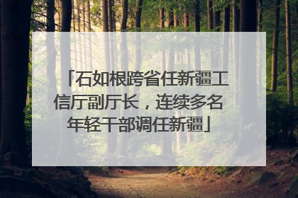 石如根跨省任新疆工信厅副厅长，连续多名年轻干部调任新疆