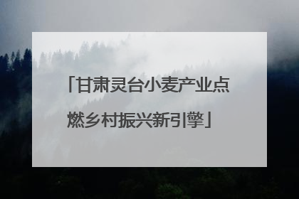甘肃灵台小麦产业点燃乡村振兴新引擎